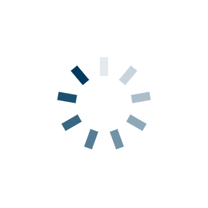 spinner